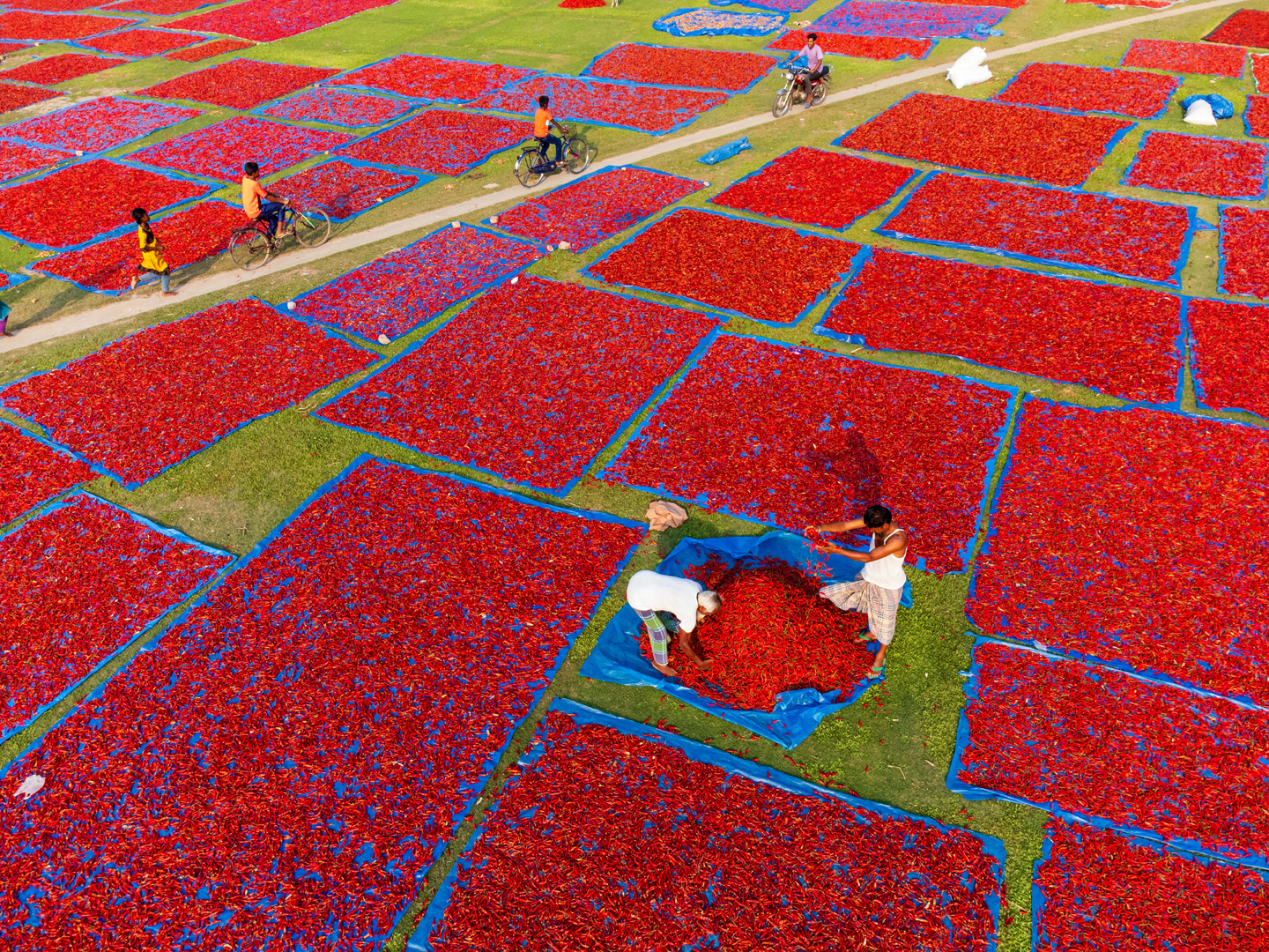 © Bipul Ahmed, Bangladesh, entry, Open Competition, Travel, 2026 Sony World Photography Awards